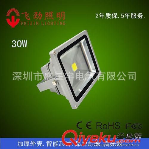 低壓輸入12/24V泛光燈-50W   投光燈 RGB泛光燈 人體感應(yīng)泛光燈