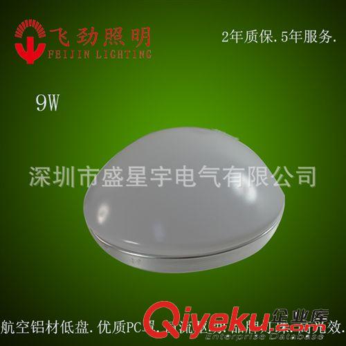 LED吸顶灯-9W