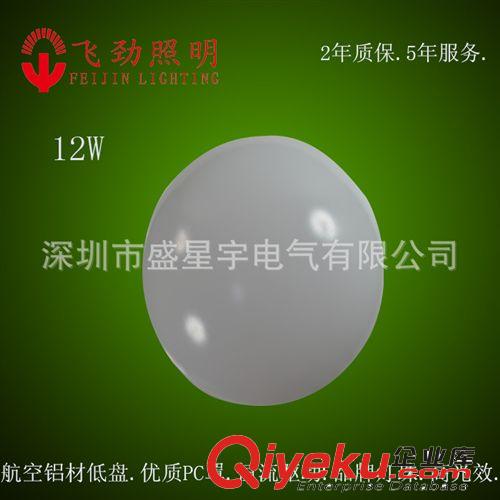 LED吸顶灯-12W