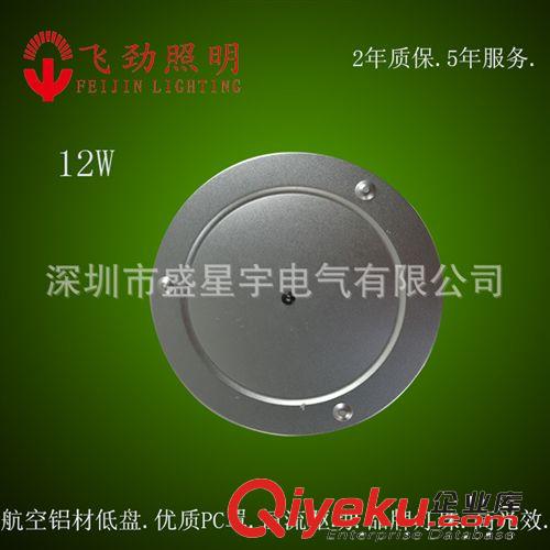 LED吸顶灯-12W