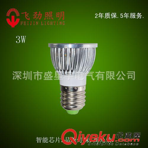 LED射灯-3W