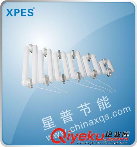 無極燈 節能無極燈光源批發 40W-300W光源  廠家直銷無極燈光源