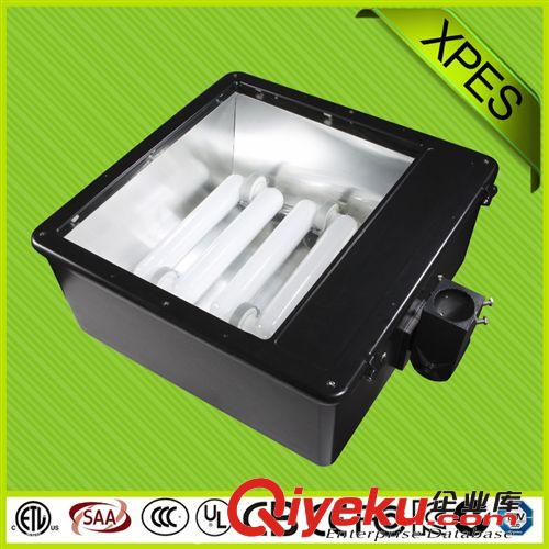 無極燈   無極燈泛光燈  40w LED投光燈  {gx}節(jié)能無極投光燈