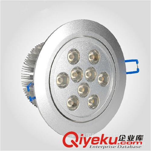 LED天花燈9*1W  筒燈 吊頂燈 恒流驅動電源 深圳制造 出口產品