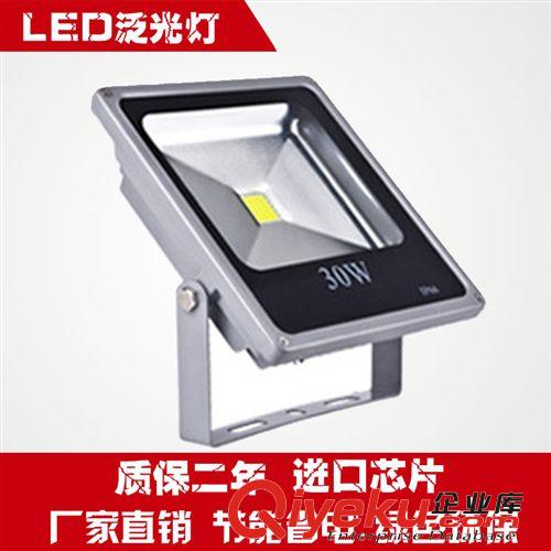 工程30WLED泛光燈 LED泛光燈 大功率30WLED投光燈 led投光燈原始圖片2
