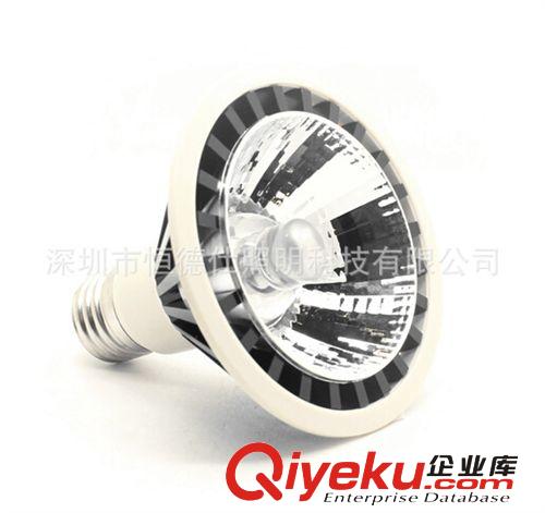 LED 新產品  COB 12w PAR30   射燈  LED節(jié)能燈