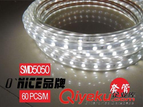 高\低压 LED防水软灯条 SMD5050-60灯 防水裸板软灯带 桥梁 客厅