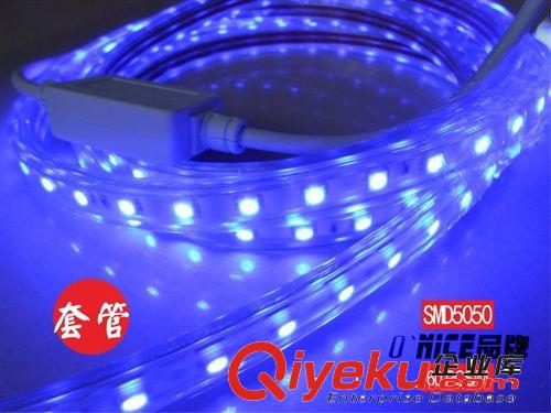 高\低压 LED防水软灯条 SMD5050-60灯 防水裸板软灯带 桥梁 客厅