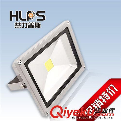 廠家直銷新款10w led大功率 集成投光燈 DC12V24V 廣告牌泛光燈