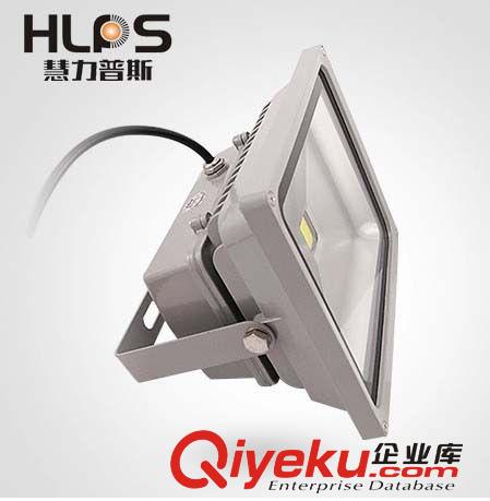 廠家直銷 led投光燈30W 新款廣告牌射燈 大功率220V照樹燈泛光燈