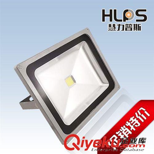 廠家批發(fā)led投光燈50W led漁船照明燈 24V輪船專(zhuān)用燈戶(hù)外防水射燈