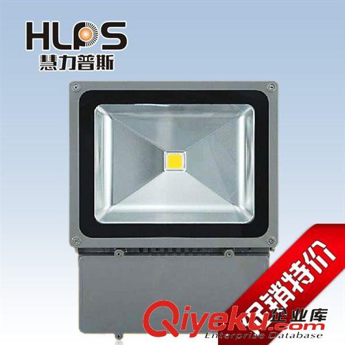 廠家直銷led投光燈30w 24V輪船照明燈 廣告牌投射燈 照樹泛光燈