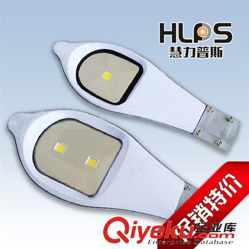 廠家直銷 led太陽能路燈雙頭 30W50w小海豚路燈頭 小太陽能燈