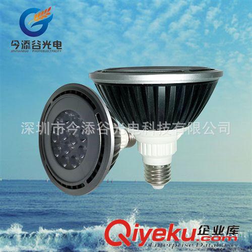 LED PAR灯 射灯 PAR38  3535贴片灯珠