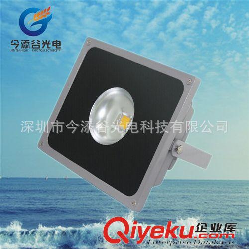 厂家直销 LED投光灯 30W 泛光灯 植物灯 广告灯 低价促销