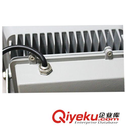 廠家直銷 LED隧道燈 60W LED投光燈 LED泛光燈原始圖片2