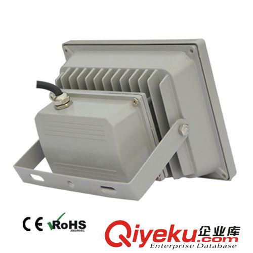 廠家直銷 LED隧道燈 60W LED投光燈 LED泛光燈原始圖片3