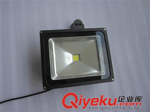 廠家直銷 LED50W人體感應(yīng)泛光燈  LED感應(yīng)投光燈  質(zhì)保兩年