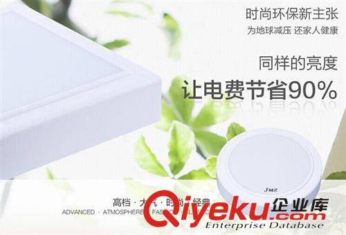 LED吸頂 陽臺(tái)燈 過道燈 走廊燈 嵌入式廚衛(wèi)燈原始圖片3