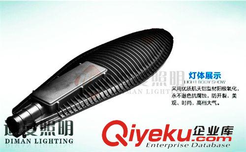 廠家直銷 LED葉子路燈 50W/100W/150W道路景觀燈 質(zhì)保兩年