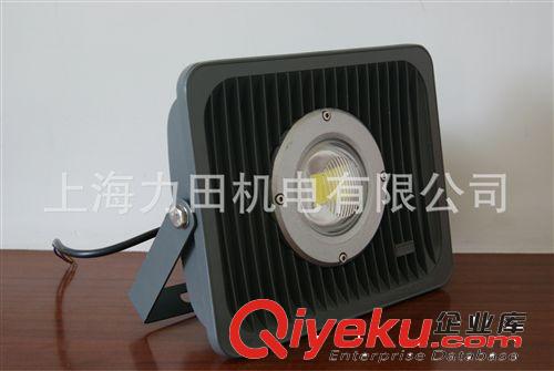 專業(yè)廠家供應(yīng) led投光燈70w  透鏡投光燈 方形led投光燈原始圖片2