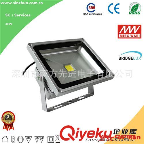 廠家直銷30W防水LED泛光燈可調色彩色LED集成投光燈工程燈過 CE原始圖片2