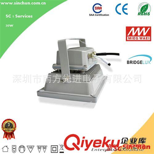 廠家直銷30W防水LED泛光燈可調色彩色LED集成投光燈工程燈過 CE原始圖片3