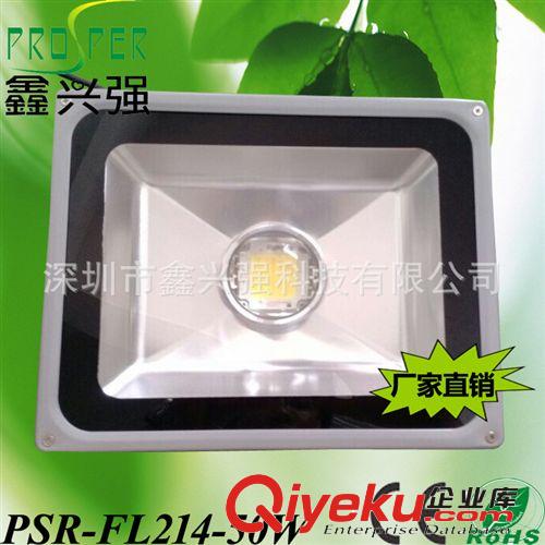 10W|20W|30W|50W|70W大功率集成LED戶外投光燈 庭院燈 泛光燈批發(fā)