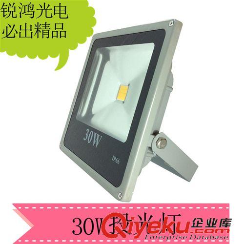 【企业集采】 gd 30W投光灯 LED泛光灯 LED投光灯 青龙系列