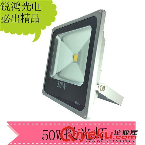 【企業集采】50W投光燈 LED投光燈 晶圓35mil芯片