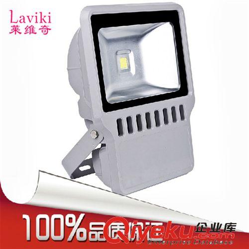 供應10W/20W/30W/50W/70W/100W/150W/200/集成投光燈