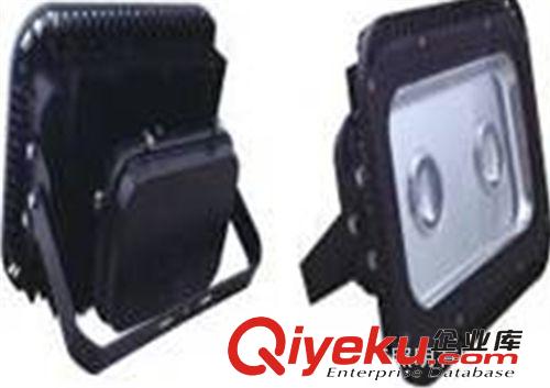 廠家直供高光效 環(huán)保節(jié)能 大功率LED隧道燈 LED路燈原始圖片2