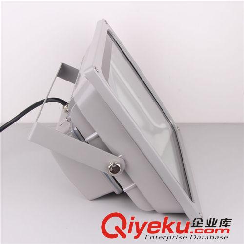 廠家直銷 新款led投光燈外墻夜景照明IP65{gx}防水led集成投光燈原始圖片2