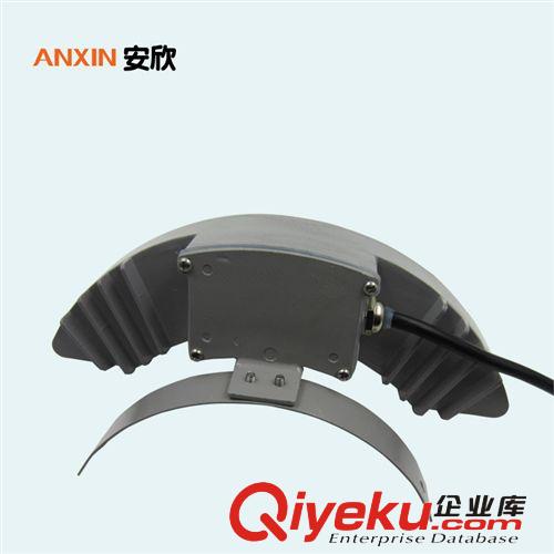大功率led月牙燈6W月亮投光戶外室外投射瓦楞草坪原始圖片3