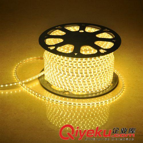 廠家批發LED低壓燈帶 LED柔性燈帶 單色led燈帶