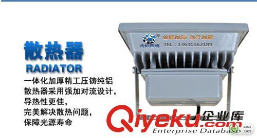 大功率LED投光燈50W 泛光燈 廣告燈 招牌燈 LED燈具廠家原始圖片3