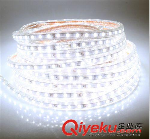 LED家居照明超亮3528高壓貼片 燈帶背景燈 防水燈帶60珠