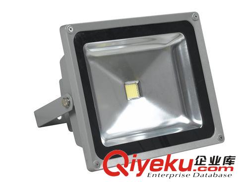 投光燈 10W 20W 30W 50W 70W100W LED投光燈戶外 投射燈原始圖片3