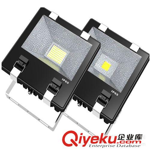 廠家專業生產商業照明led投光燈 品牌投光燈 節能工程專用投光燈原始圖片3