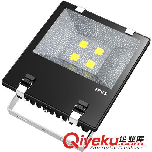 廠家推出優質鰭片式投光燈 50W高流明投光燈 建筑照明投光燈原始圖片3
