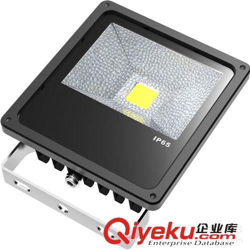 廠家推出優質鰭片式投光燈 50W高流明投光燈 建筑照明投光燈
