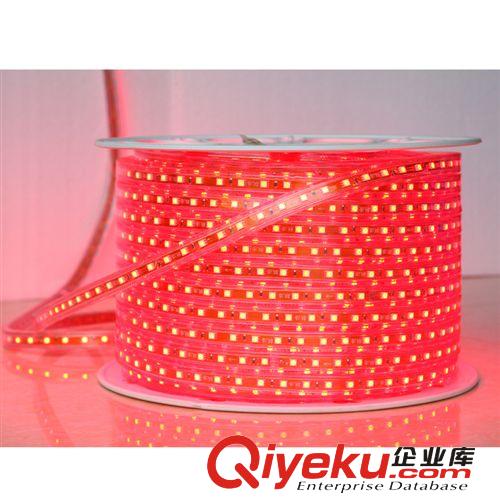 5050LED貼片銅芯全金線SMD燈帶寬度8MM/10MM  暖白光