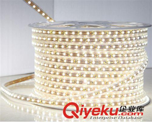 5050LED貼片銅芯全金線SMD燈帶寬度8MM/10MM  正白光原始圖片3