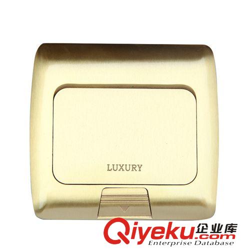 雷頓LUXURY地插地面插座 不銹鋼面-多功能插座