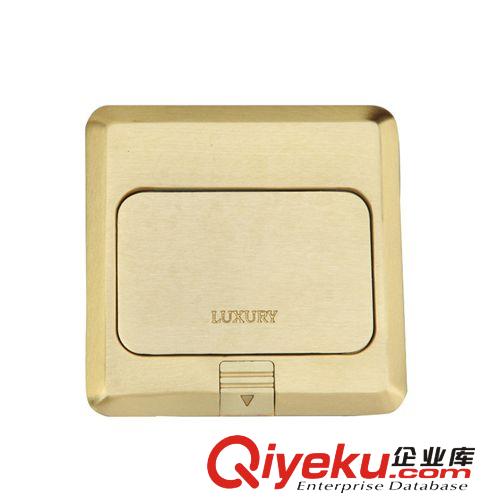 雷頓LUXURY地插地面插座 弧形大銅面- 多功能二三級插座