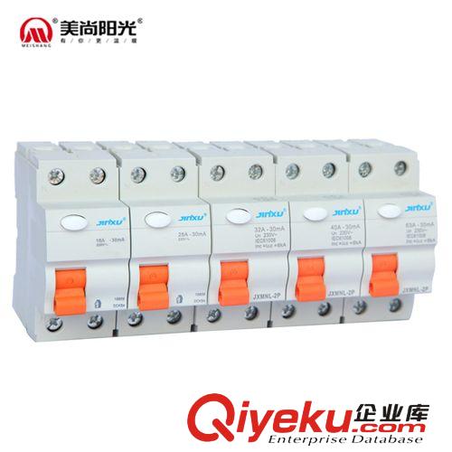 金旭漏電保護器-安家型2P 16A-63A 01 橙色