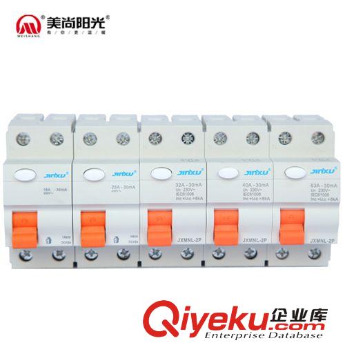 金旭漏電保護器-安家型2P 16A-63A 01 橙色