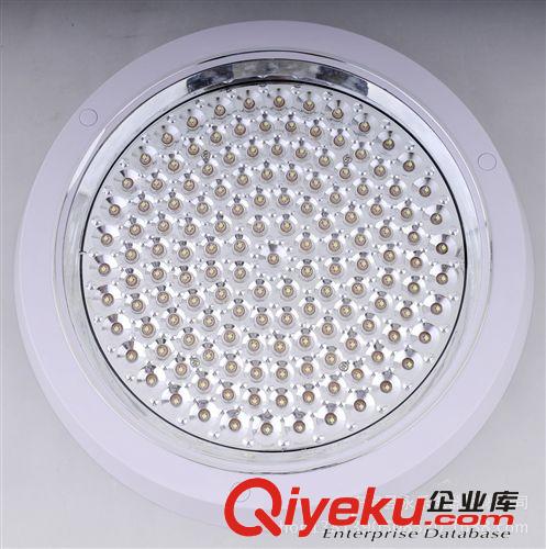 LED天花燈 12*1W LED射燈 LED天花射燈 LED燈 廠家直銷 質保兩年