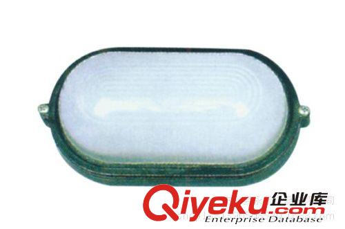 60w100w防潮燈