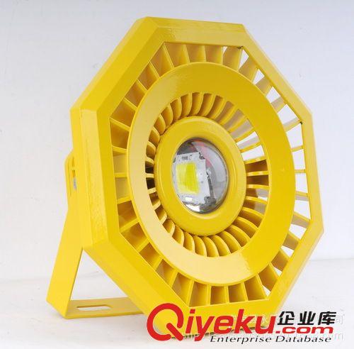 30W LED防爆燈